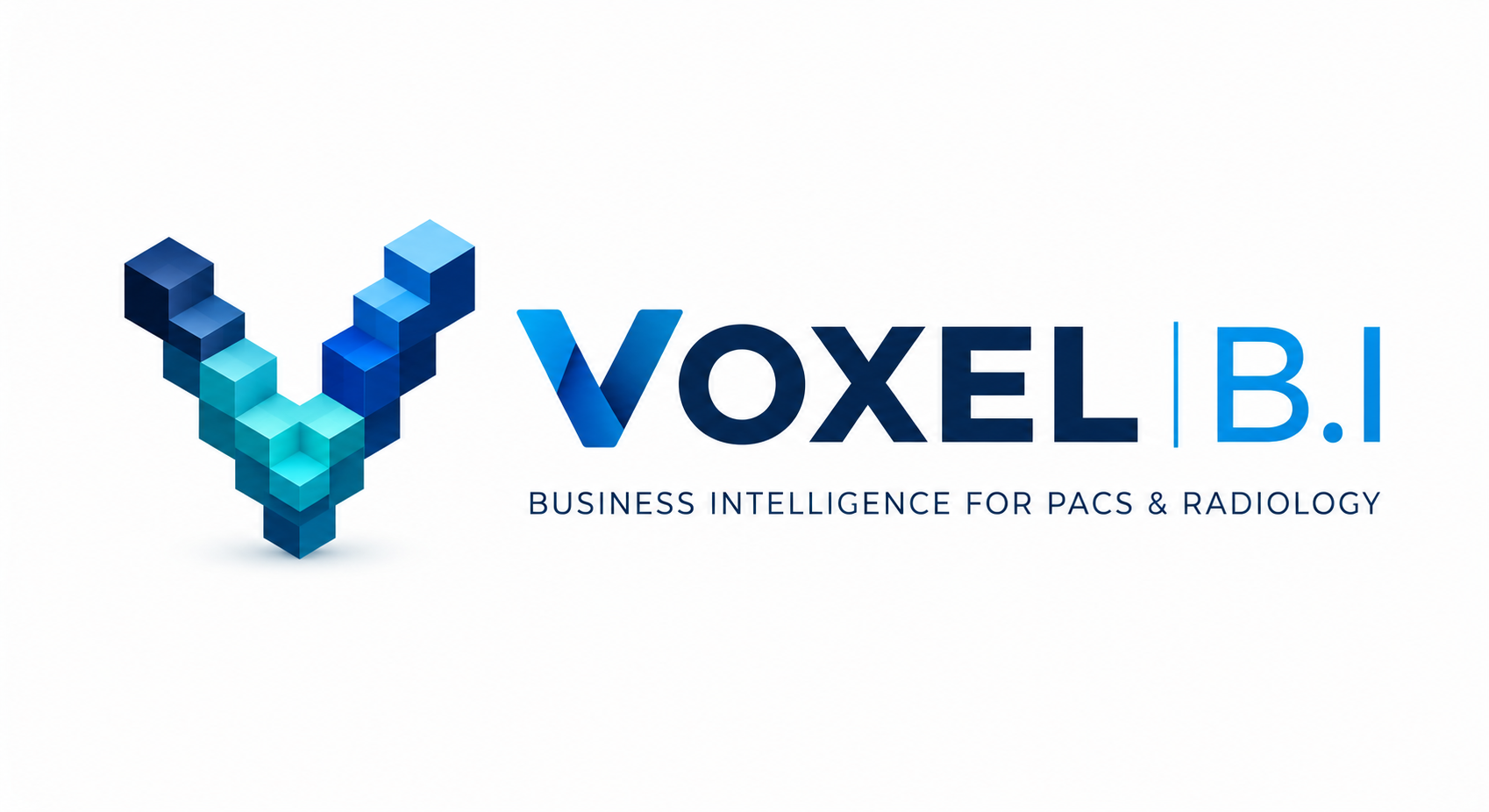 Voxel B.I Logo